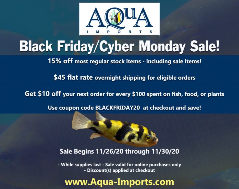 Aqua Imports Stock Update and Black Friday Sale!