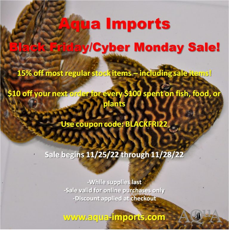 Black Friday/Cyber Monday Online Sale