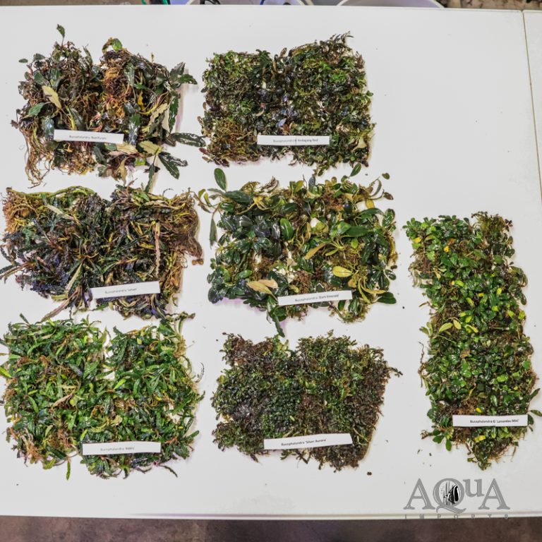 New Freshwater and Plant Stock 9/23/25