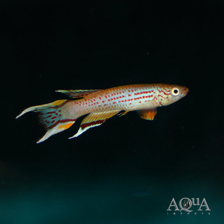 New Marine and Freshwater Stock 7/16/26