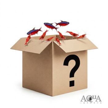 Nano Animal Mystery Pack
